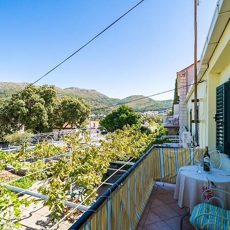 Apartments Lidija زاتون المظهر الخارجي الصورة
